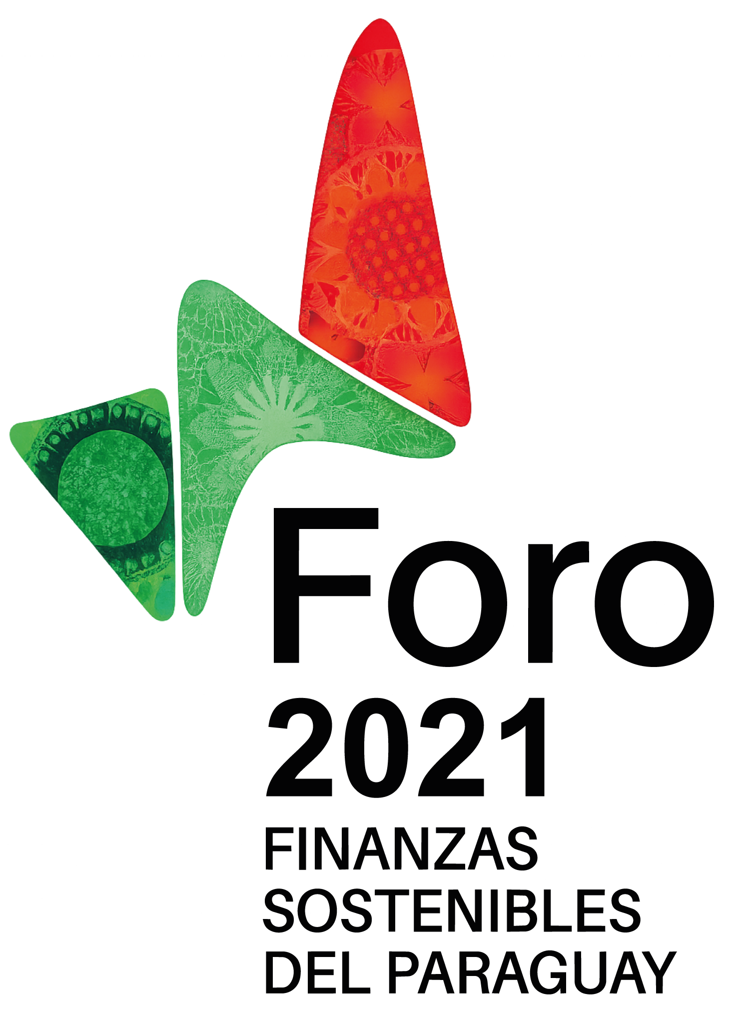 Foro Internacional de Finanzas Sostenibles 2021